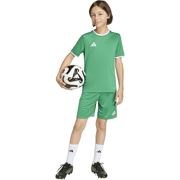 Adidas Entrada 26 Short Kinderen - Groen