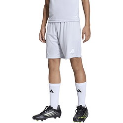 Présentation: Adidas Entrada 26 Short Enfants - Gris