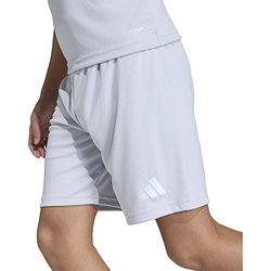 Présentation: Adidas Entrada 26 Short Enfants - Gris