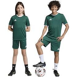 Présentation: Adidas Entrada 26 Short Enfants - Vert Foncé