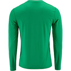 Vorschau: Craft Ability Trikot Langarm Herren - Grün