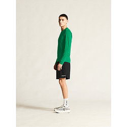 Vorschau: Craft Ability Trikot Langarm Herren - Grün