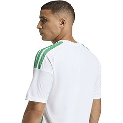 Vorschau: Adidas Hooped 26 Striped Trikot Kurzarm Herren - Weiß / Grün