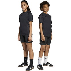 Présentation: Adidas Tiro 25 Travel Short Enfants - Noir
