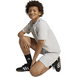 Présentation: Adidas Tiro 25 Travel Short Enfants - Gris