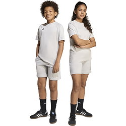 Présentation: Adidas Tiro 25 Travel Short Enfants - Gris