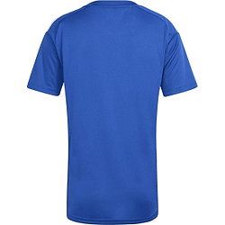 Présentation: Adidas Tiro 26 League Maillot Manches Courtes Femmes - Royal