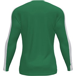 Vorschau: Joma Academy III Trikot Langarm Kinder - Grün / Weiß