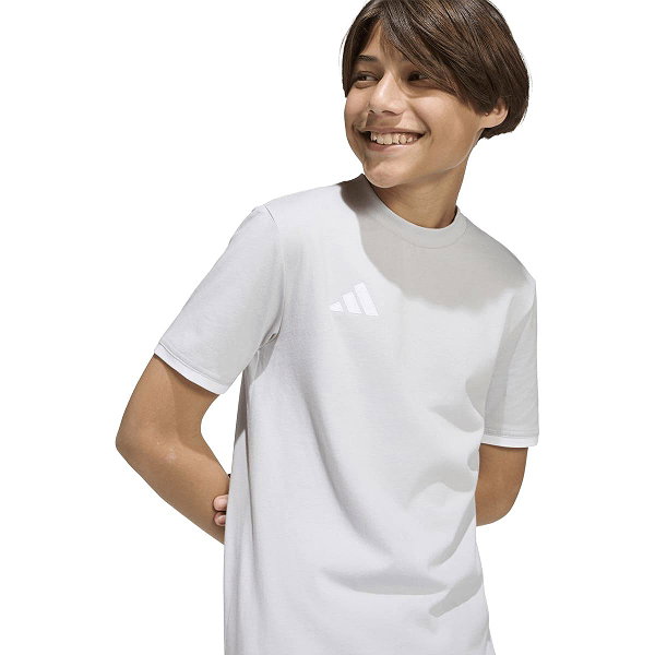 Adidas Entrada 26 T-Shirt Enfants - Gris Clair