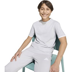 Présentation: Adidas Entrada 26 T-Shirt Enfants - Gris Clair
