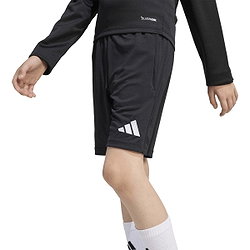 Voorvertoning: Adidas Entrada 26 Trainingsshort Kinderen - Zwart