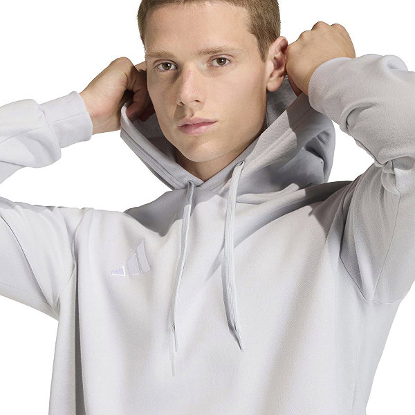 Adidas Entrada 26 Sweat À Capuchon Hommes - Gris Clair / Blanc