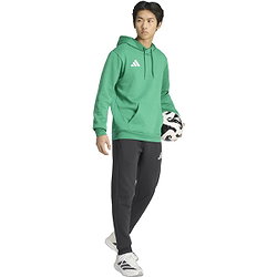 Vorschau: Adidas Entrada 26 Kapuzensweat Herren - Grün / Weiß