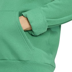 Vorschau: Adidas Entrada 26 Kapuzensweat Herren - Grün / Weiß