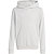 Adidas Entrada 26 Sweater Met Kap Kinderen - Lichtgrijs