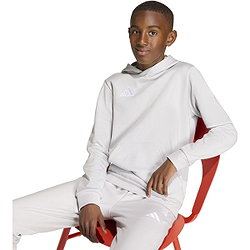 Vorschau: Adidas Entrada 26 Kapuzensweat Kinder - Hellgrau