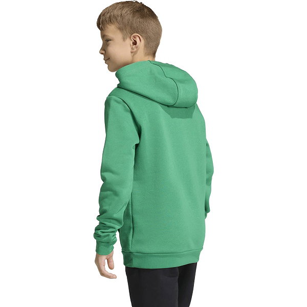 Adidas Entrada 26 Sweat À Capuchon Enfants - Vert