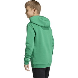 Présentation: Adidas Entrada 26 Sweat À Capuchon Enfants - Vert