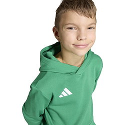 Présentation: Adidas Entrada 26 Sweat À Capuchon Enfants - Vert