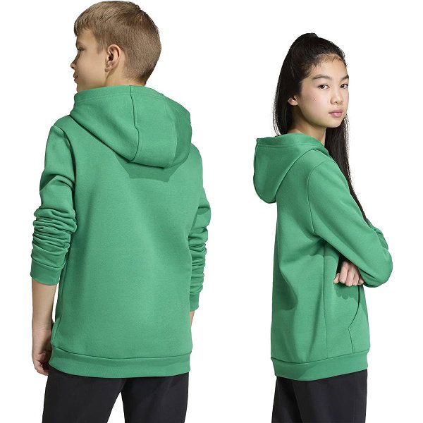 Adidas Entrada 26 Sweat À Capuchon Enfants - Vert