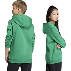 Présentation: Adidas Entrada 26 Sweat À Capuchon Enfants - Vert