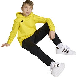 Voorvertoning: Adidas Entrada 26 Sweater Met Kap Kinderen - Geel