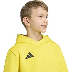 Voorvertoning: Adidas Entrada 26 Sweater Met Kap Kinderen - Geel