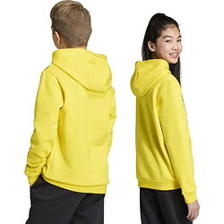 Voorvertoning: Adidas Entrada 26 Sweater Met Kap Kinderen - Geel