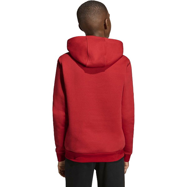 Adidas Entrada 26 Sweater Met Kap Kinderen - Rood