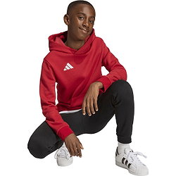 Voorvertoning: Adidas Entrada 26 Sweater Met Kap Kinderen - Rood
