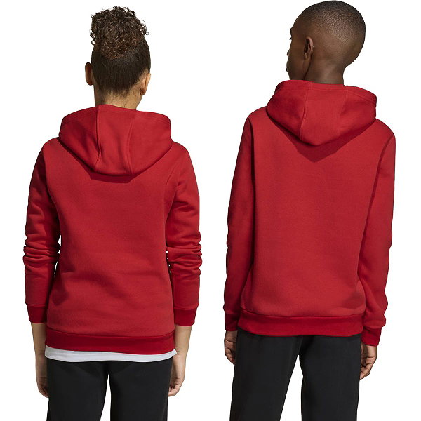 Adidas Entrada 26 Sweater Met Kap Kinderen - Rood