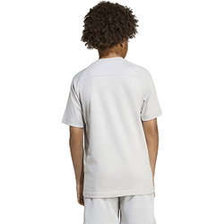 Voorvertoning: Adidas Tiro 25 Travel T-Shirt Kinderen - Lichtgrijs