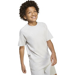 Voorvertoning: Adidas Tiro 25 Travel T-Shirt Kinderen - Lichtgrijs