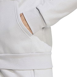 Voorvertoning: Adidas Entrada 26 Hoodie Dames - Lichtgrijs / Wit