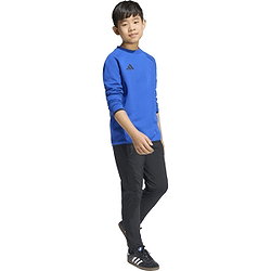 Voorvertoning: Adidas Tiro Travel Sweater Kinderen - Royal
