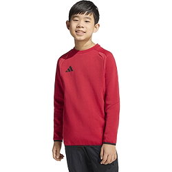 Voorvertoning: Adidas Tiro Travel Sweater Kinderen - Rood