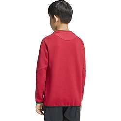 Voorvertoning: Adidas Tiro Travel Sweater Kinderen - Rood