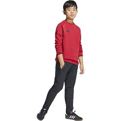 Voorvertoning: Adidas Tiro Travel Sweater Kinderen - Rood