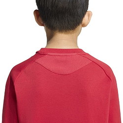 Voorvertoning: Adidas Tiro Travel Sweater Kinderen - Rood