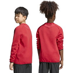 Voorvertoning: Adidas Tiro Travel Sweater Kinderen - Rood