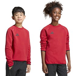 Voorvertoning: Adidas Tiro Travel Sweater Kinderen - Rood