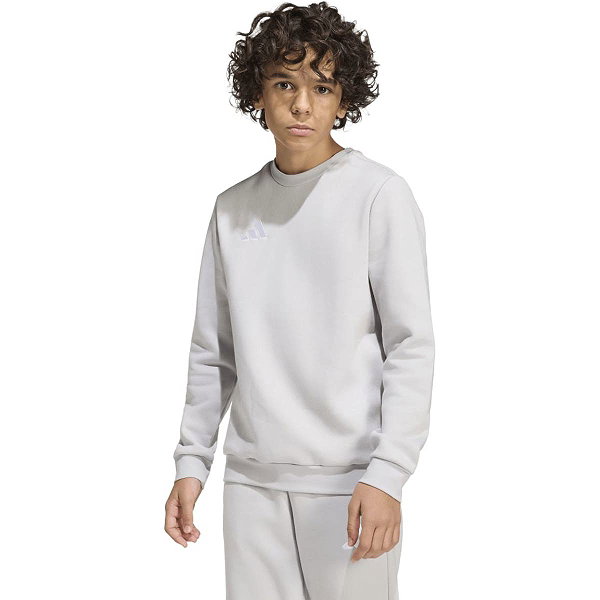 Adidas Entrada 26 Sweater Kinderen - Lichtgrijs