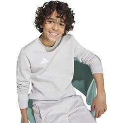 Voorvertoning: Adidas Entrada 26 Sweater Kinderen - Lichtgrijs