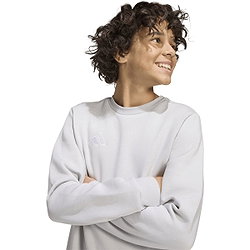 Voorvertoning: Adidas Entrada 26 Sweater Kinderen - Lichtgrijs