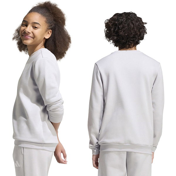 Adidas Entrada 26 Sweater Kinderen - Lichtgrijs