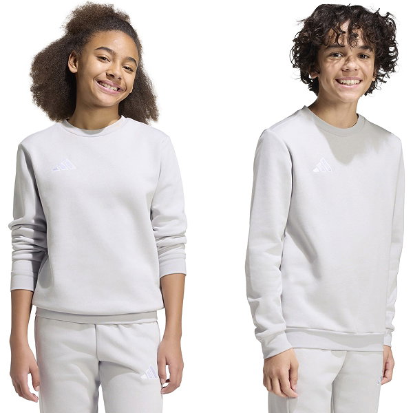 Adidas Entrada 26 Sweater Kinderen - Lichtgrijs