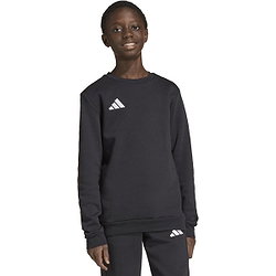 Voorvertoning: Adidas Entrada 26 Sweater Kinderen - Zwart