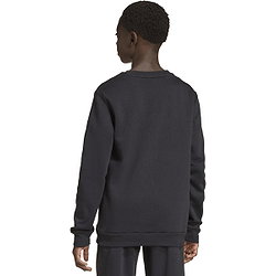 Voorvertoning: Adidas Entrada 26 Sweater Kinderen - Zwart