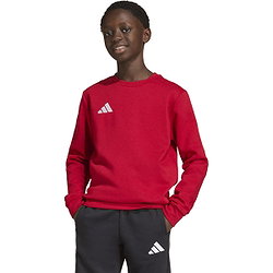 Voorvertoning: Adidas Entrada 26 Sweater Kinderen - Rood