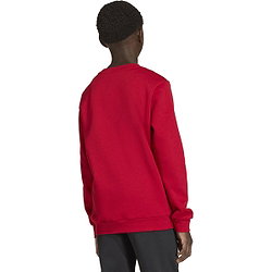Voorvertoning: Adidas Entrada 26 Sweater Kinderen - Rood